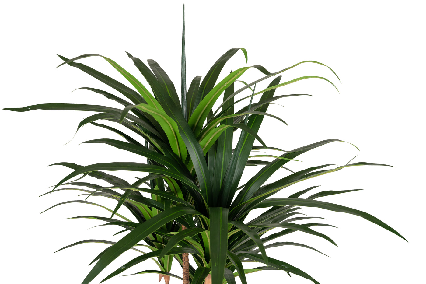 Dracaena artificiala marginata cu 110 frunze verzi H120 cm