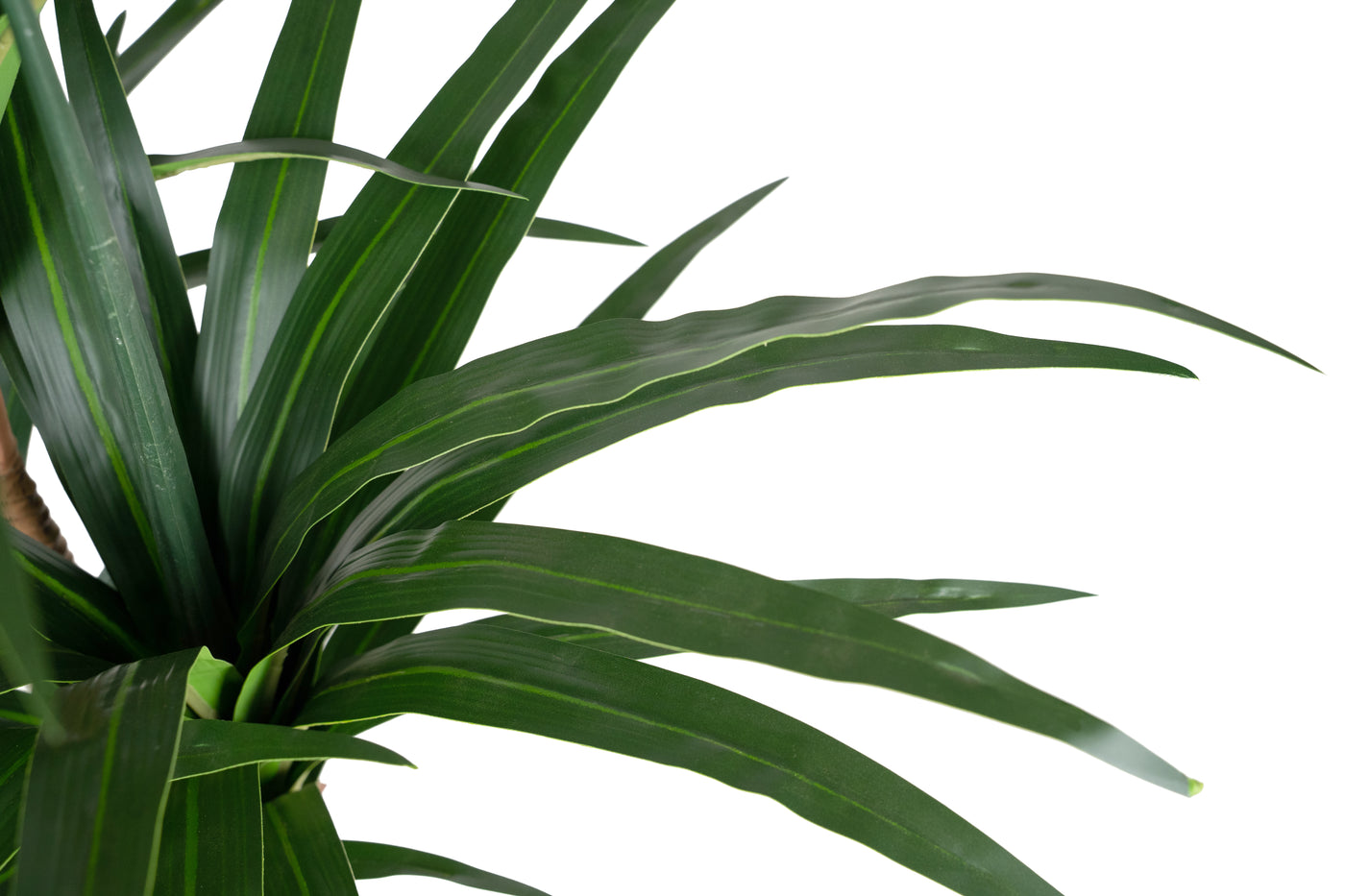 Dracaena artificiala marginata cu 110 frunze verzi H120 cm