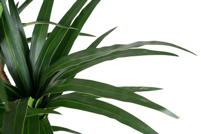 Dracaena artificiala marginata cu 110 frunze verzi H120 cm