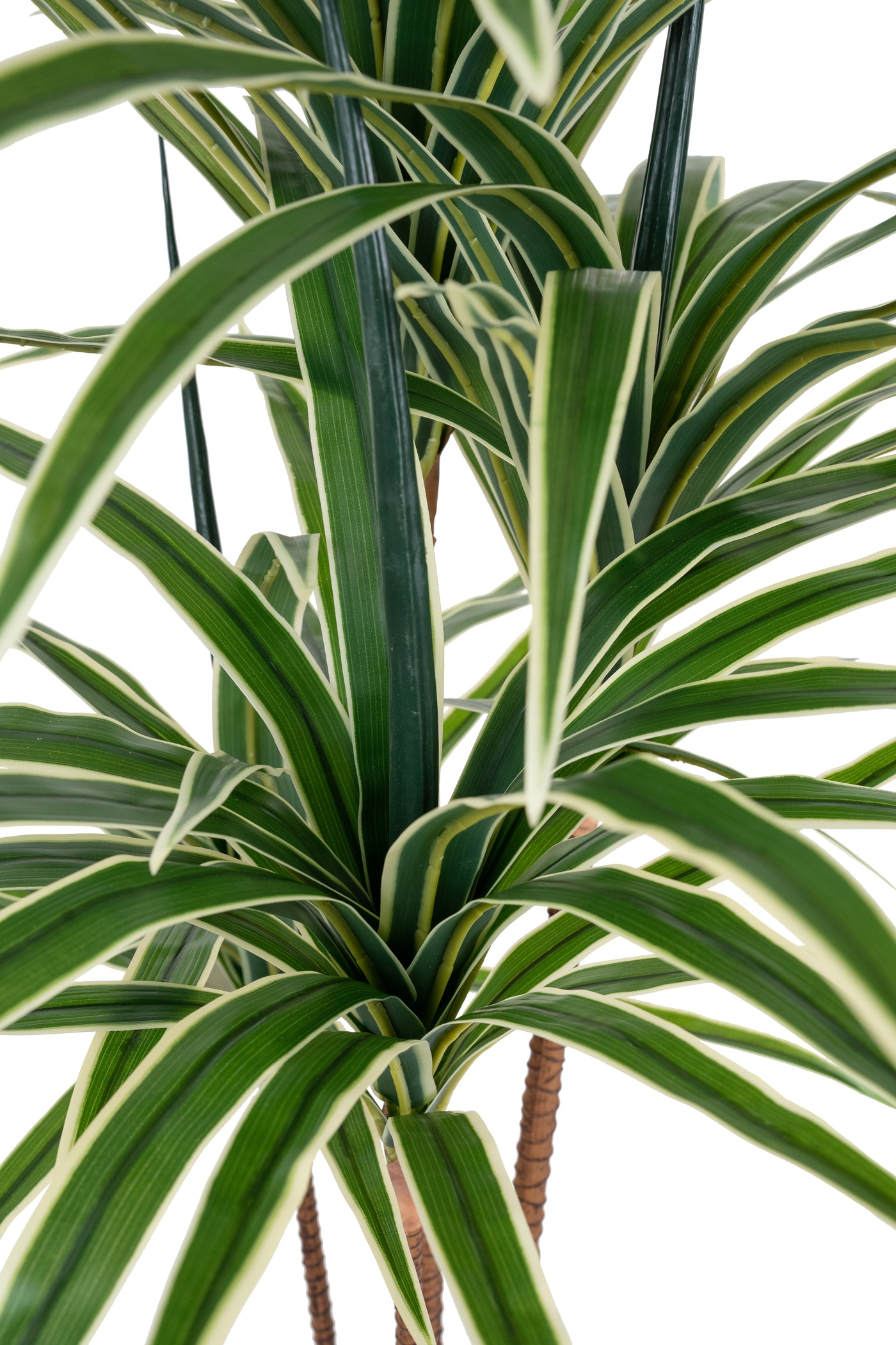 Dracaena artificiala marginata cu 110 frunze verzi H120 cm