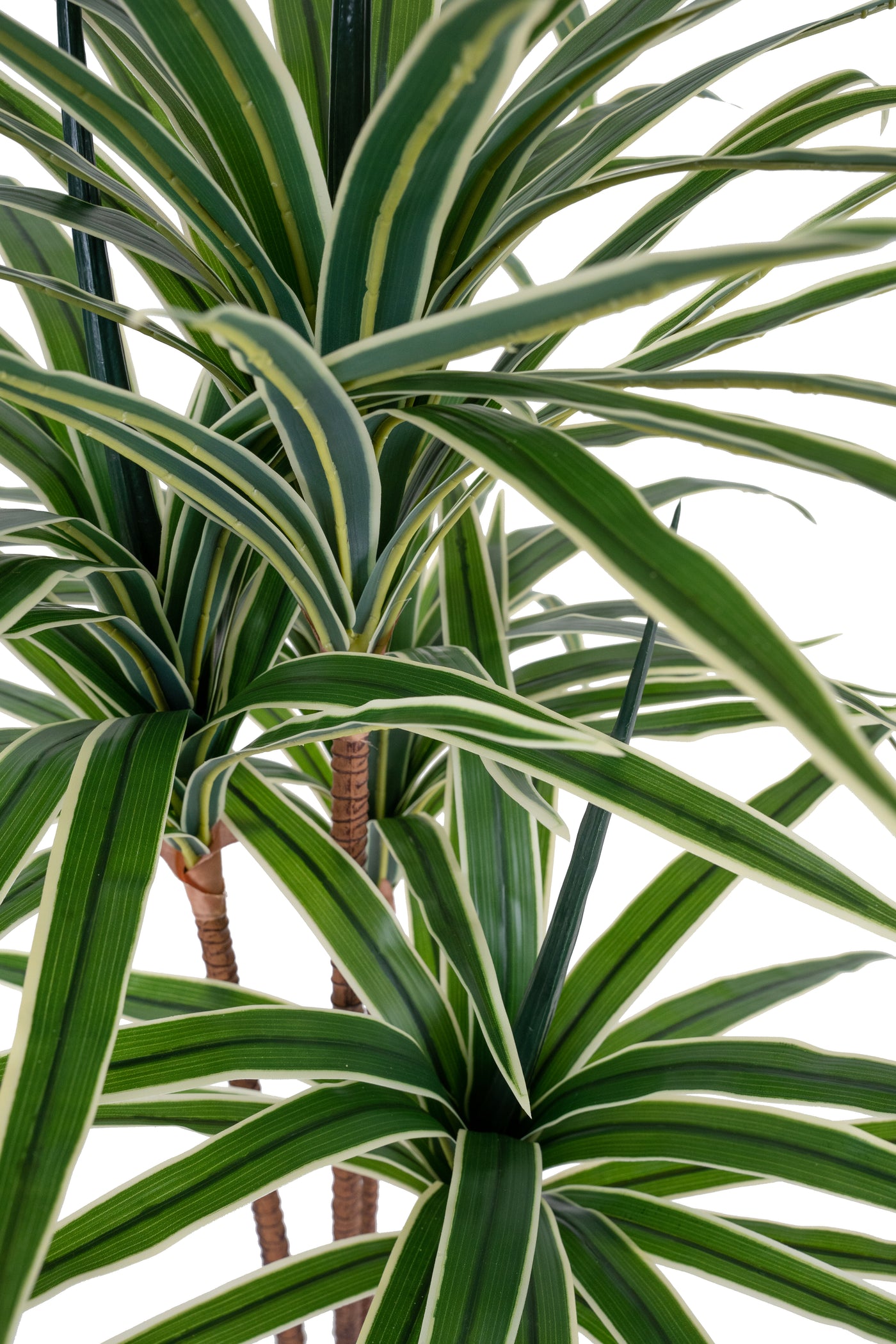 Dracaena artificiala marginata cu 110 frunze verzi H120 cm