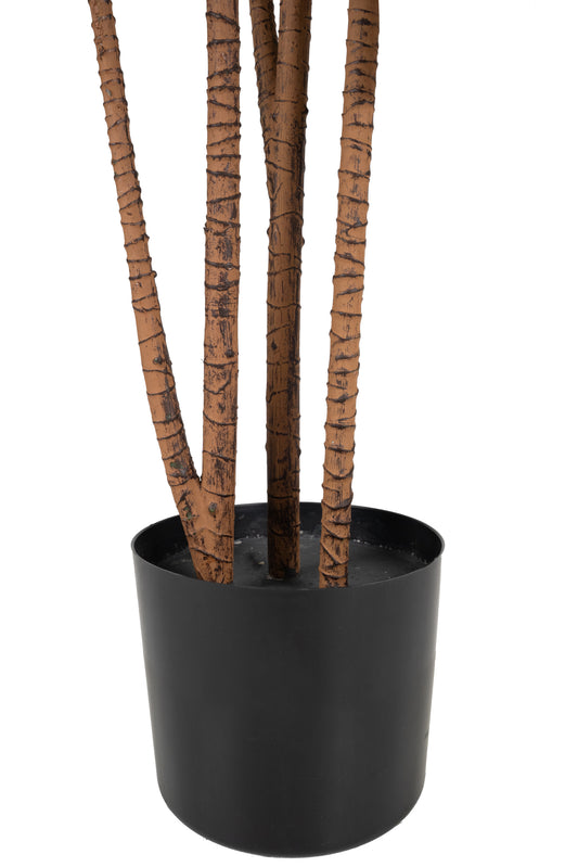 Dracaena artificiala marginata cu 180 frunze verzi cu alb H150 cm