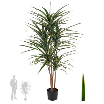 Dracaena artificiala marginata cu 180 frunze verzi cu alb H150 cm