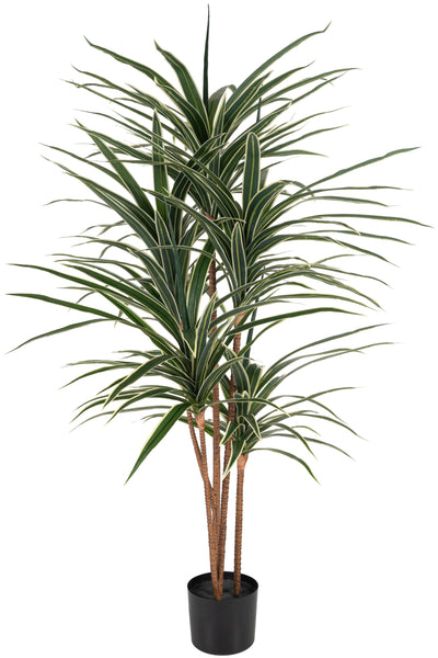 Dracaena artificiala marginata cu 180 frunze verzi cu alb H150 cm