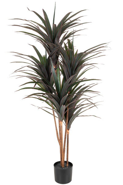 Dracaena artificiala marginata cu 180 frunze verzi cu rosu H150 cm