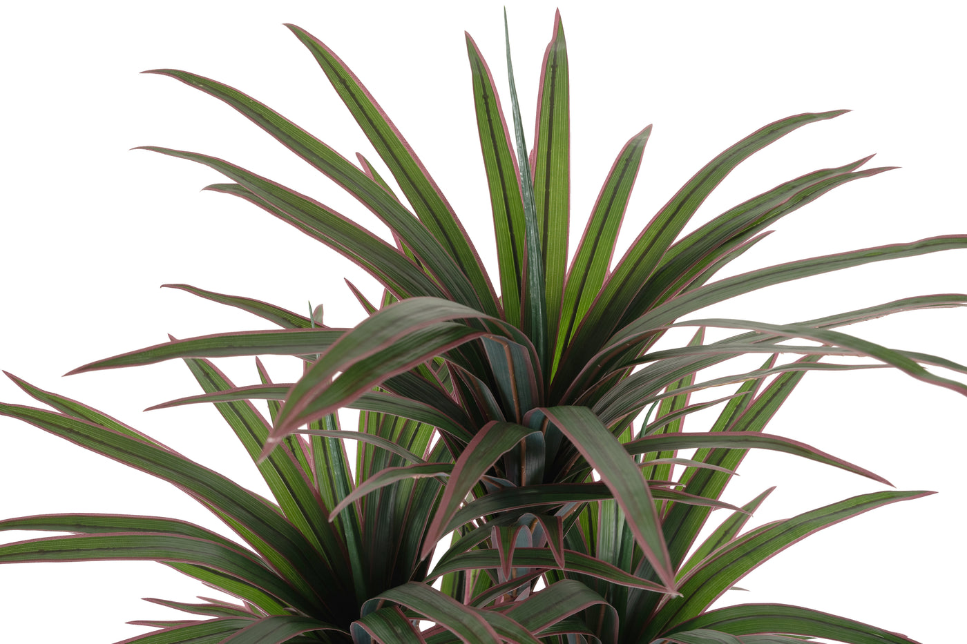 Dracaena artificiala marginata cu 180 frunze verzi cu rosu H150 cm