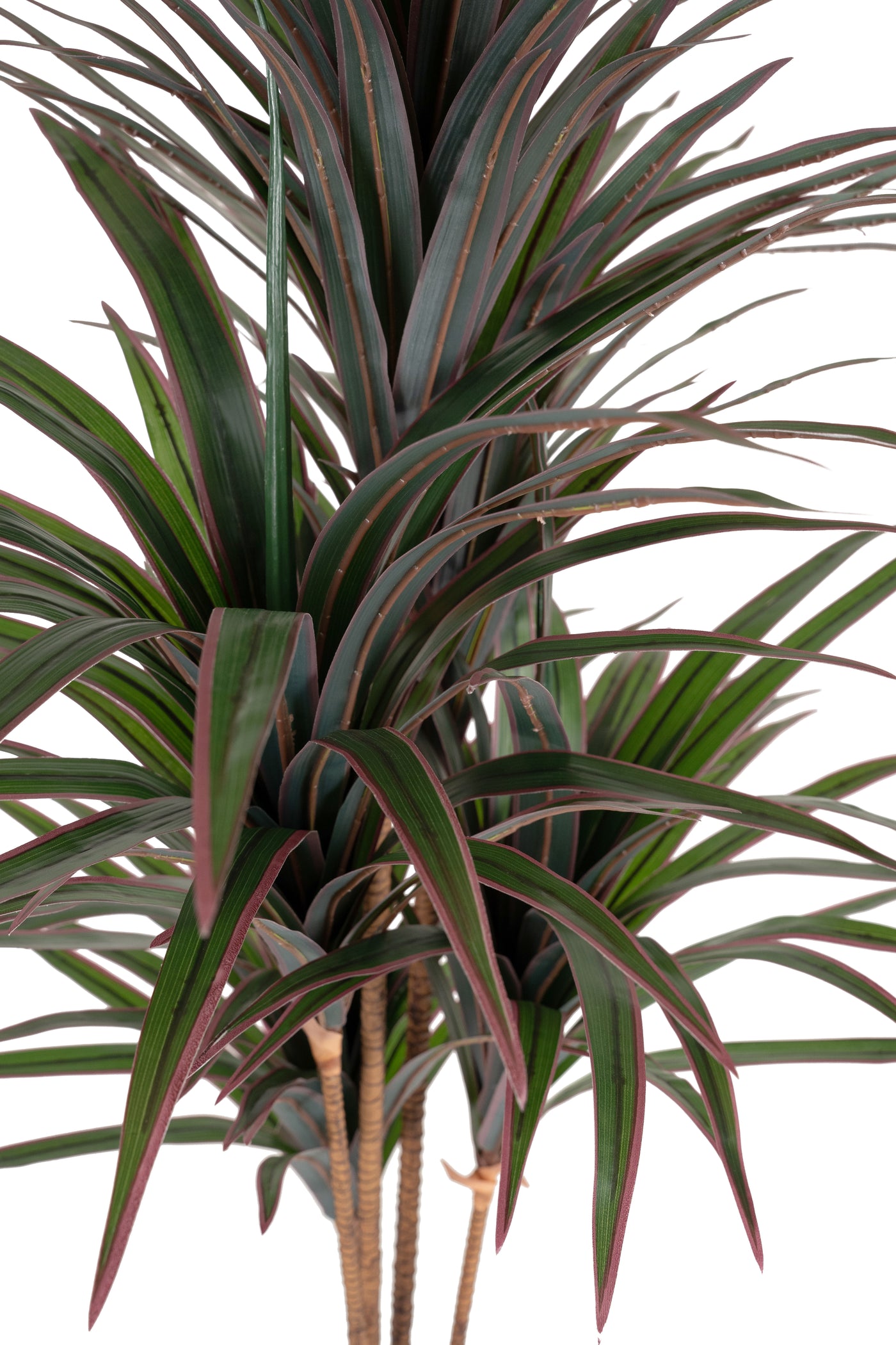 Dracaena artificiala marginata cu 180 frunze verzi cu rosu H150 cm