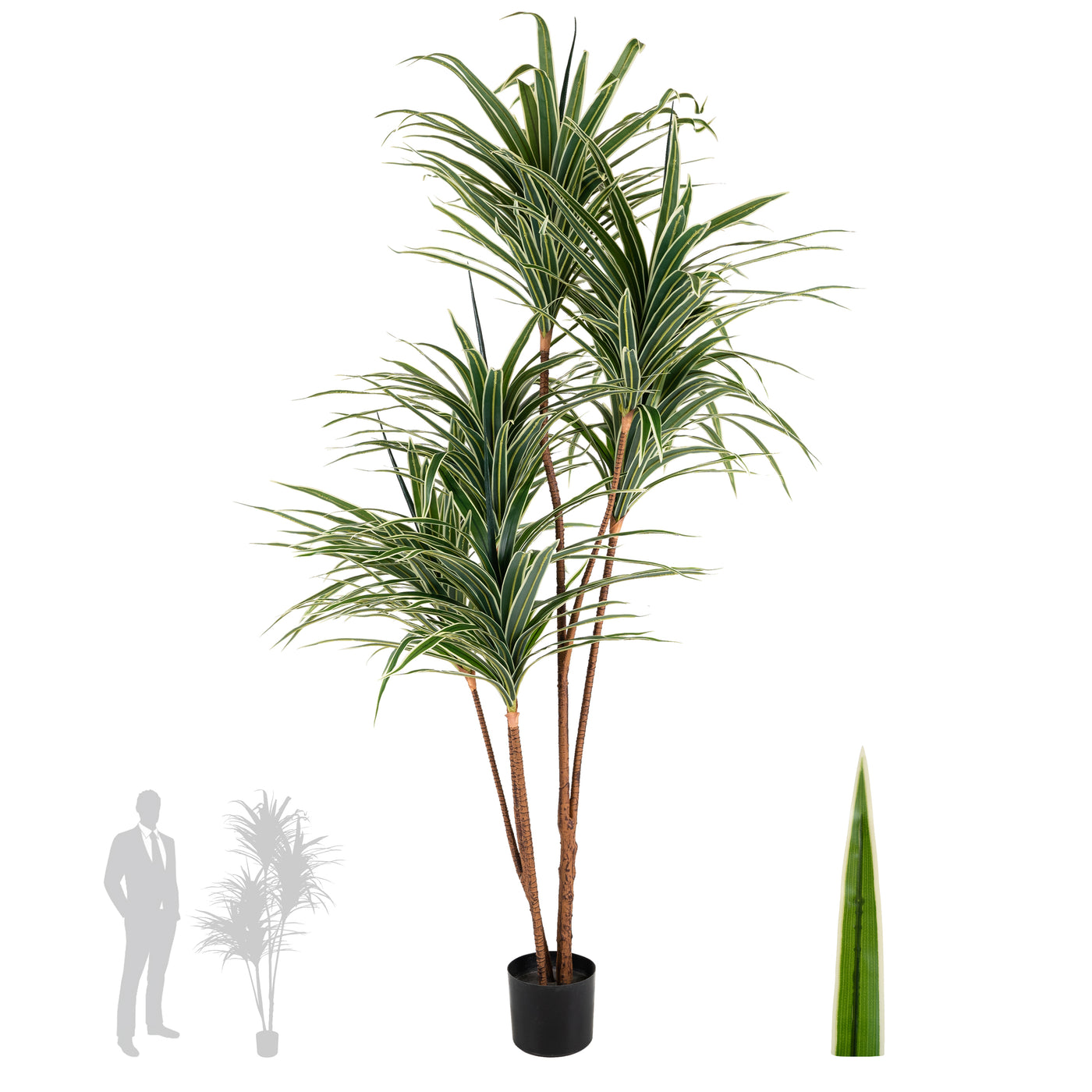 Dracaena artificiala marginata cu 310 frunze verde cu alb H180cm