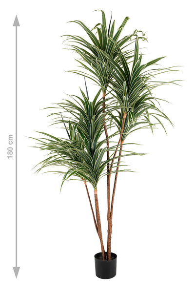 Dracaena artificiala marginata cu 310 frunze verde cu alb H180cm