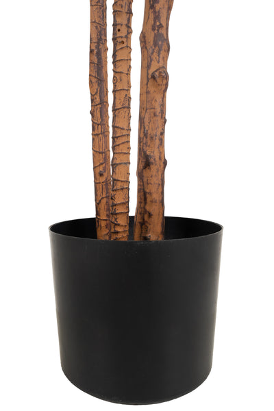 Dracaena artificiala marginata cu 310 frunze verde cu rosu H180 cm