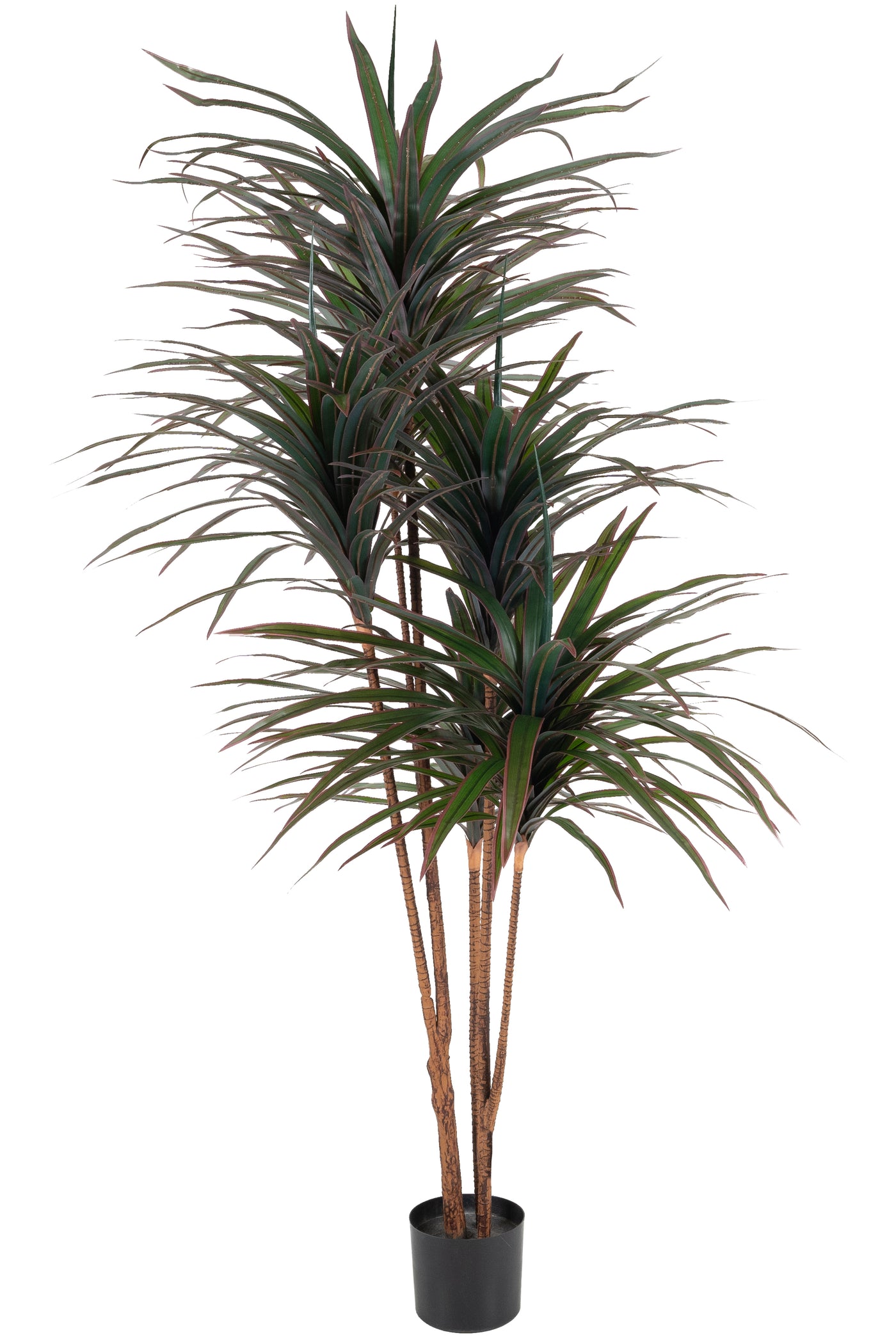 Dracaena artificiala marginata cu 310 frunze verde cu rosu H180 cm