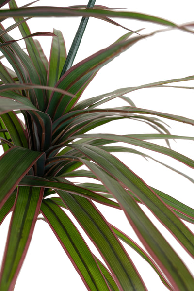 Dracaena artificiala marginata cu 310 frunze verde cu rosu H180 cm