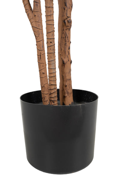 Dracaena artificiala marginata cu 310 frunze verzi H180 cm
