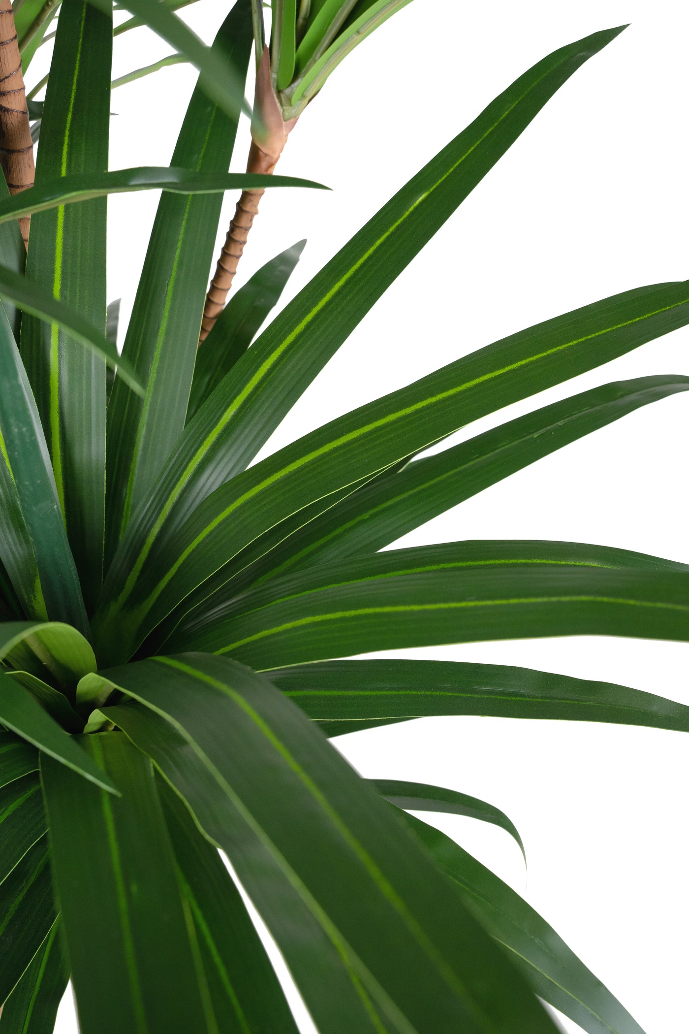 Dracaena artificiala marginata cu 310 frunze verzi H180 cm
