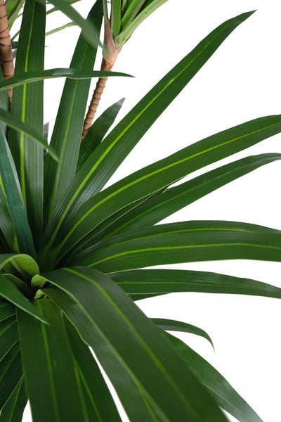 Dracaena artificiala marginata cu 310 frunze verzi H180 cm