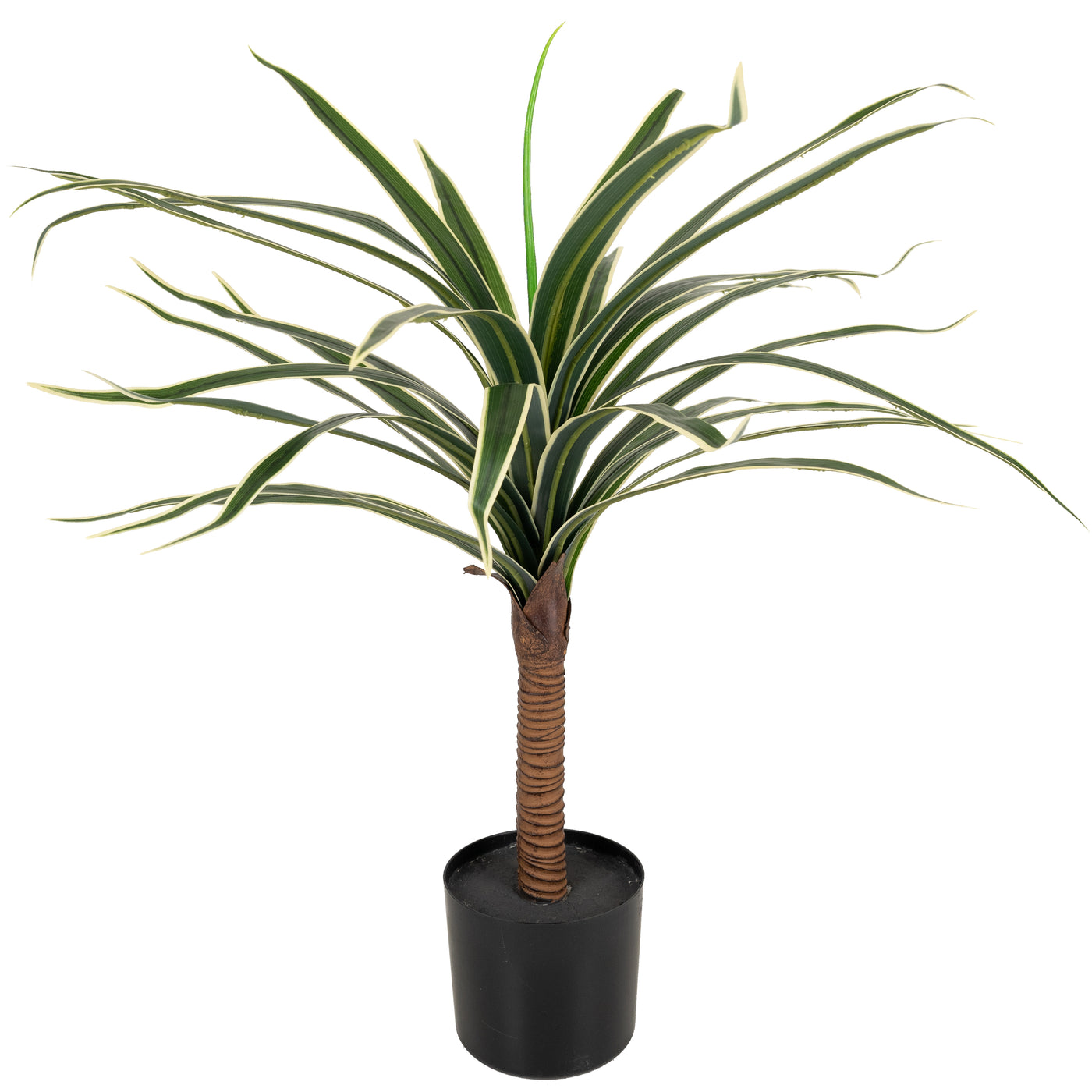 Dracaena artificiala marginata H80 cm