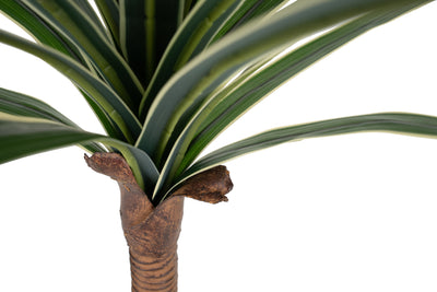 Dracaena artificiala marginata H80 cm