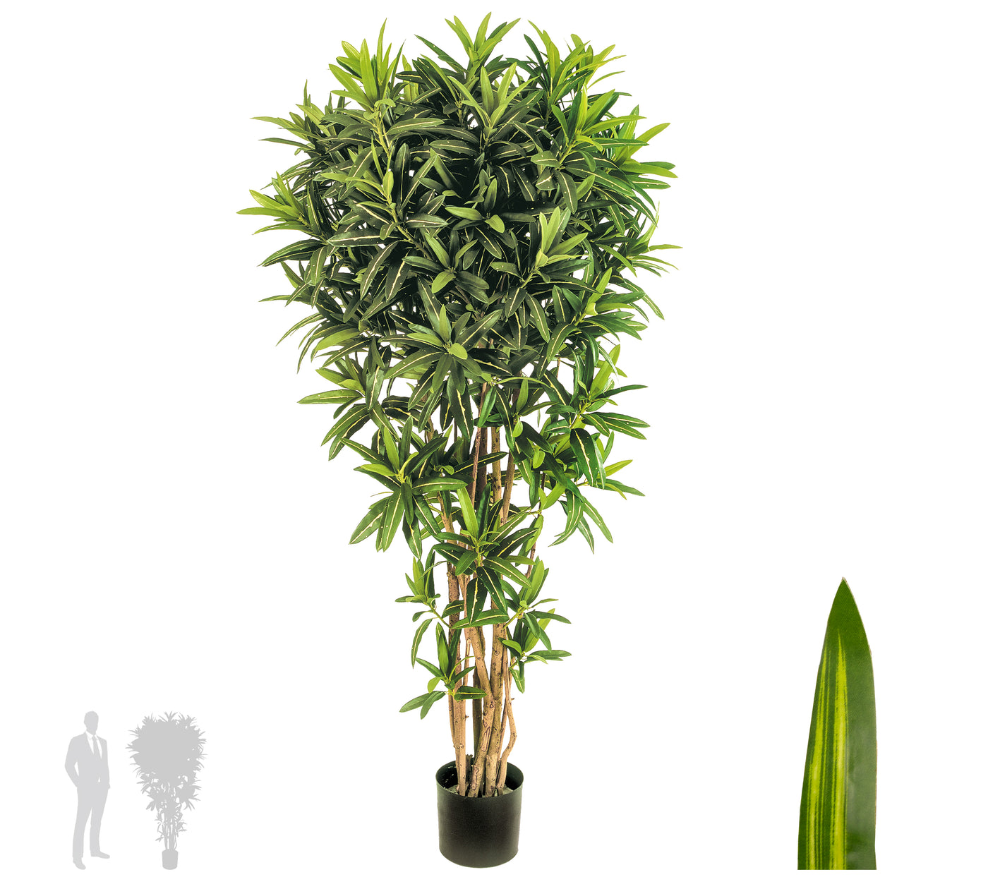 Dracaena artificiala Reflexa cu frunze verzi H184 cm