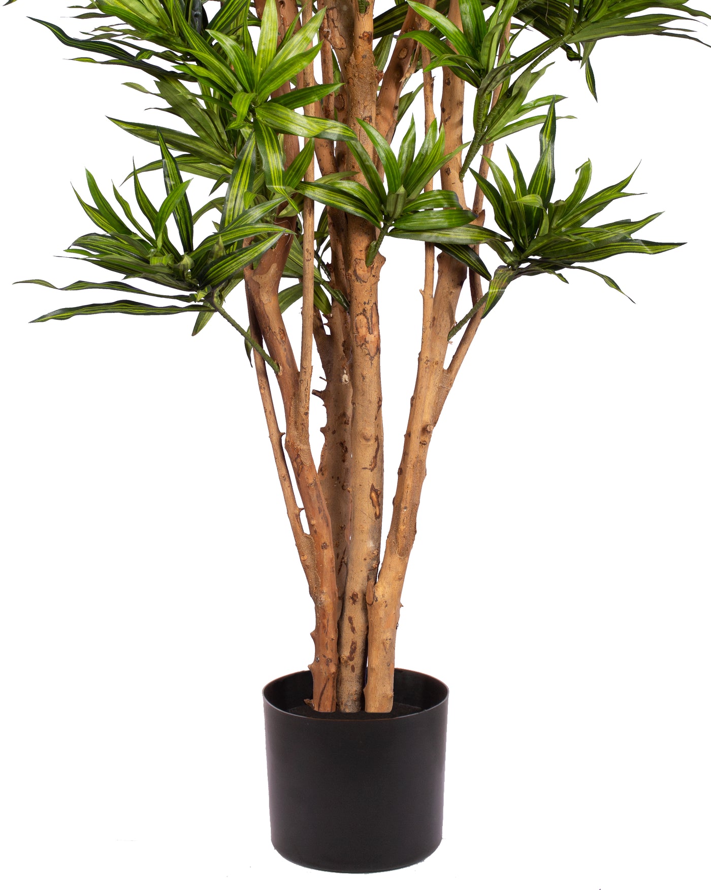 Dracaena artificiala Reflexa cu frunze verzi H184 cm