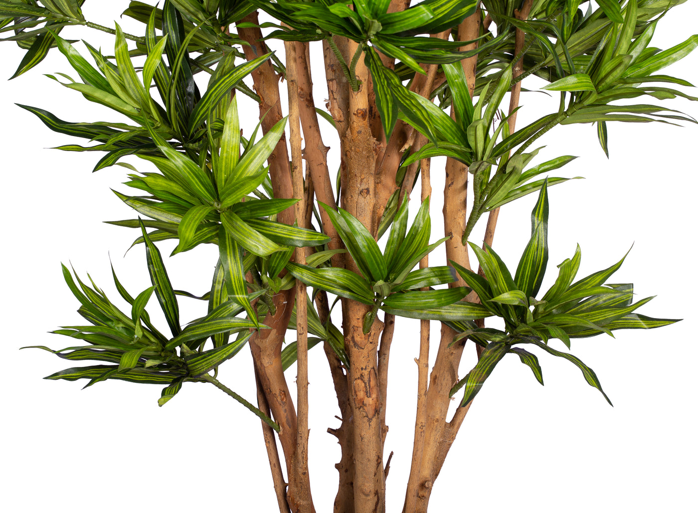 Dracaena artificiala Reflexa cu frunze verzi H184 cm