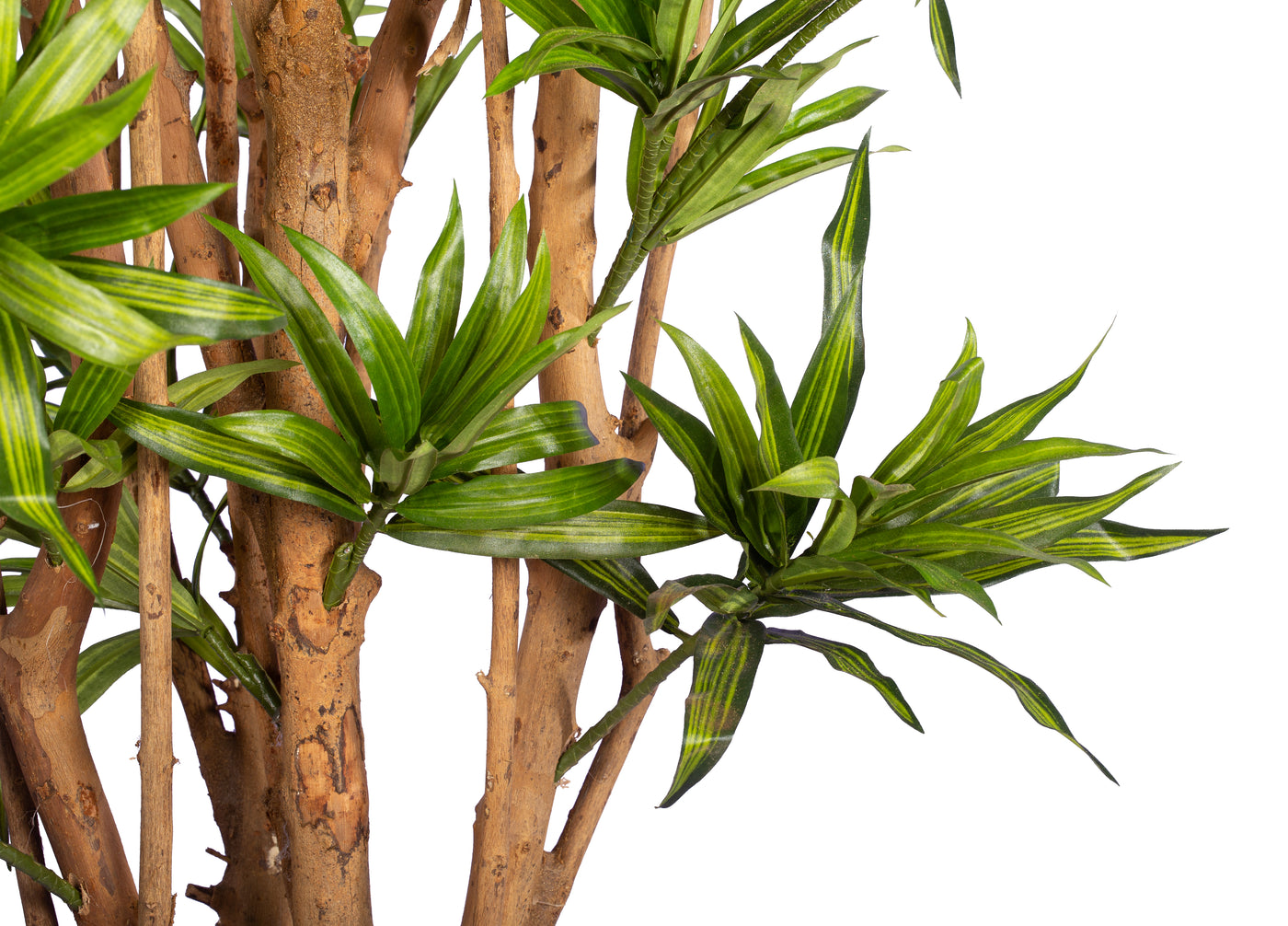 Dracaena artificiala Reflexa cu frunze verzi H184 cm