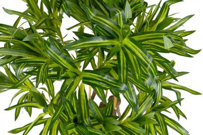 Dracaena artificiala reflexa cu trunchi ramificat si 396 frunze H100 cm