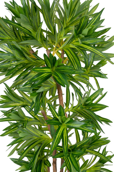 Dracaena artificiala Reflexa variegat cu 570 frunze verde cu galben H150 cm