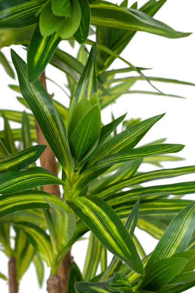 Dracaena artificiala Reflexa variegat cu 570 frunze verde cu galben H150 cm