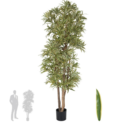 Dracaena artificiala Reflexa variegata cu frunze verzi cu galben H185 cm