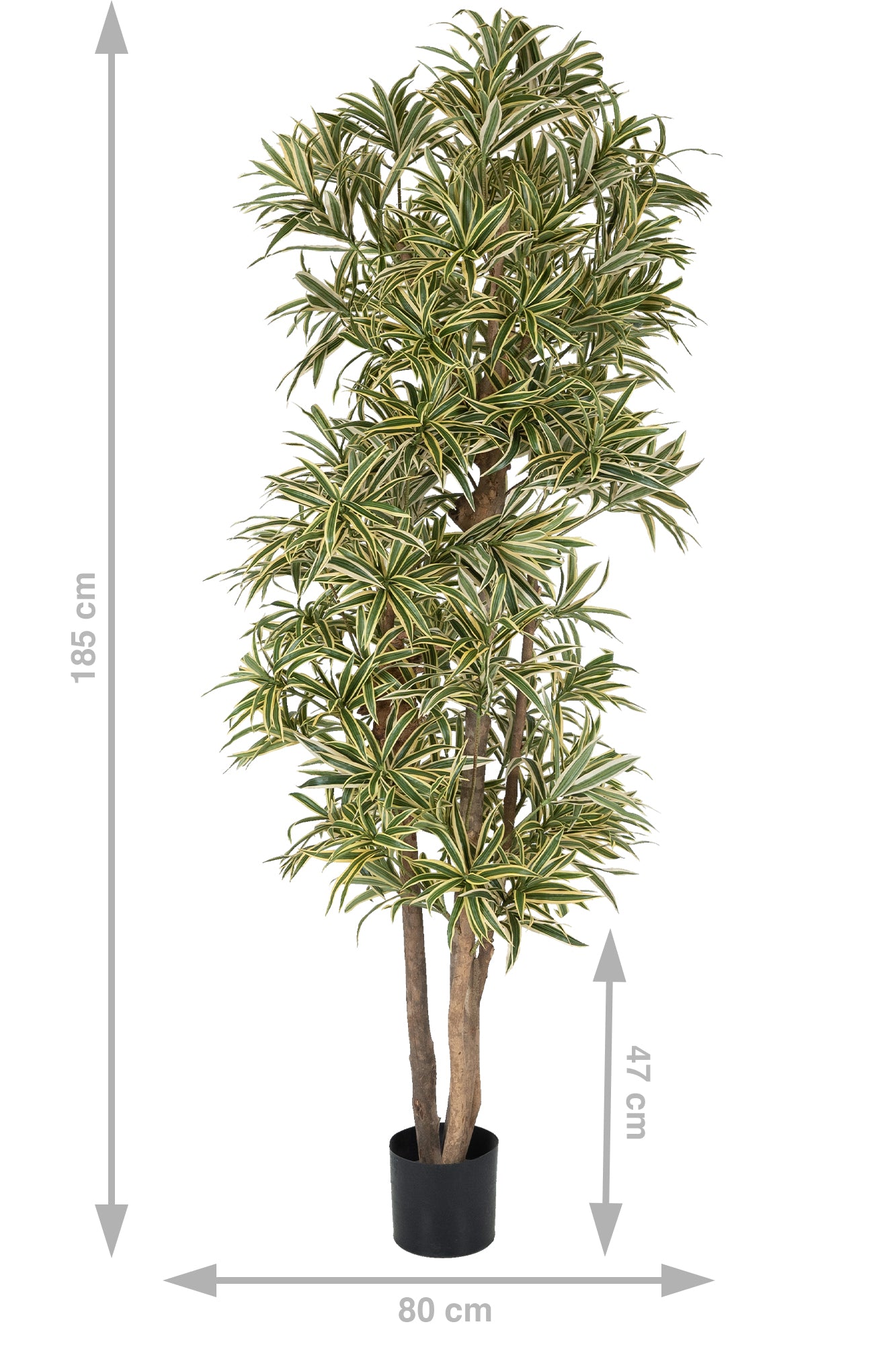 Dracaena artificiala Reflexa variegata cu frunze verzi cu galben H185 cm