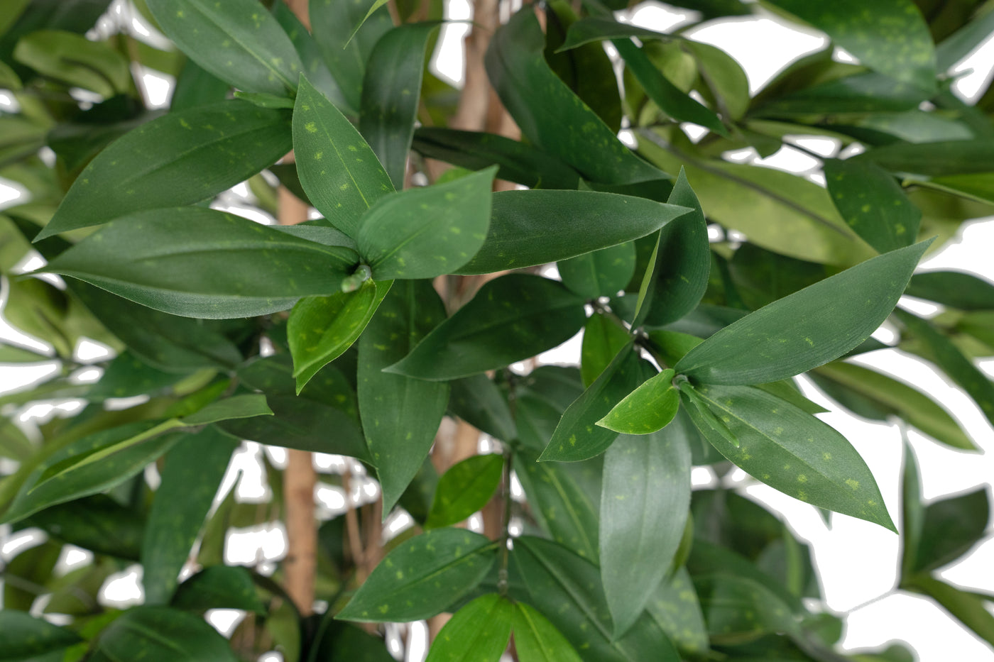 Dracaena artificiala surculosa H180 cm