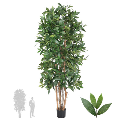 Dracaena artificiala surculosa H210 cm