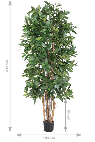 Dracaena artificiala surculosa H210 cm