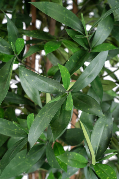 Dracaena artificiala surculosa H210 cm