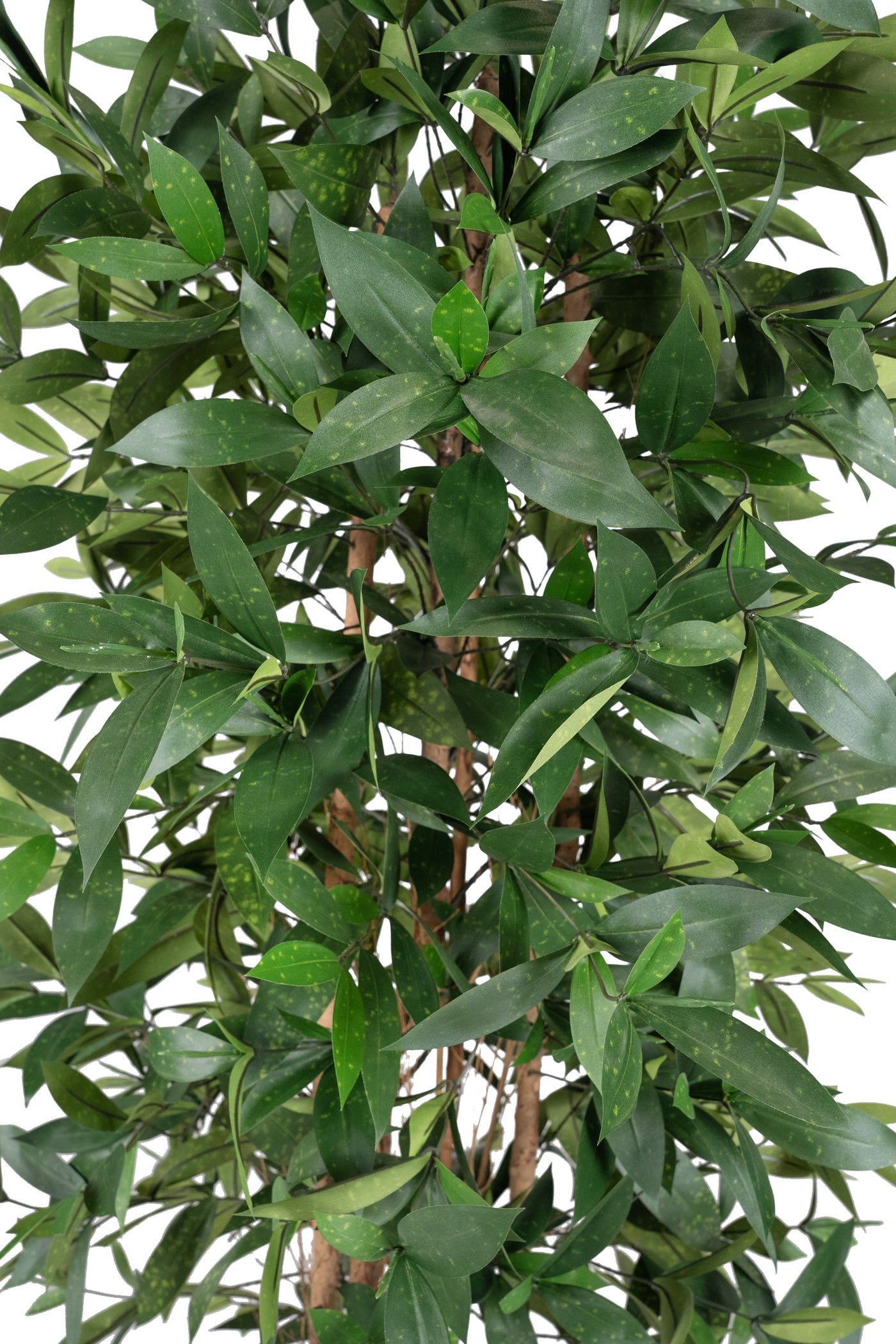 Dracaena artificiala surculosa H210 cm