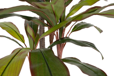 Dracaena marginata artificiala cu 47 frunze H120 cm