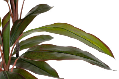 Dracaena marginata artificiala cu 50 frunze H130 cm