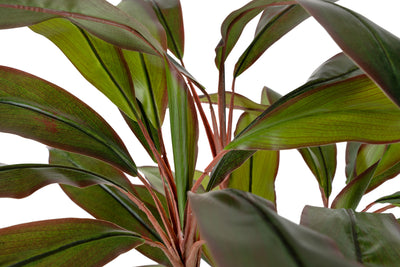 Dracaena marginata artificiala cu 50 frunze H130 cm