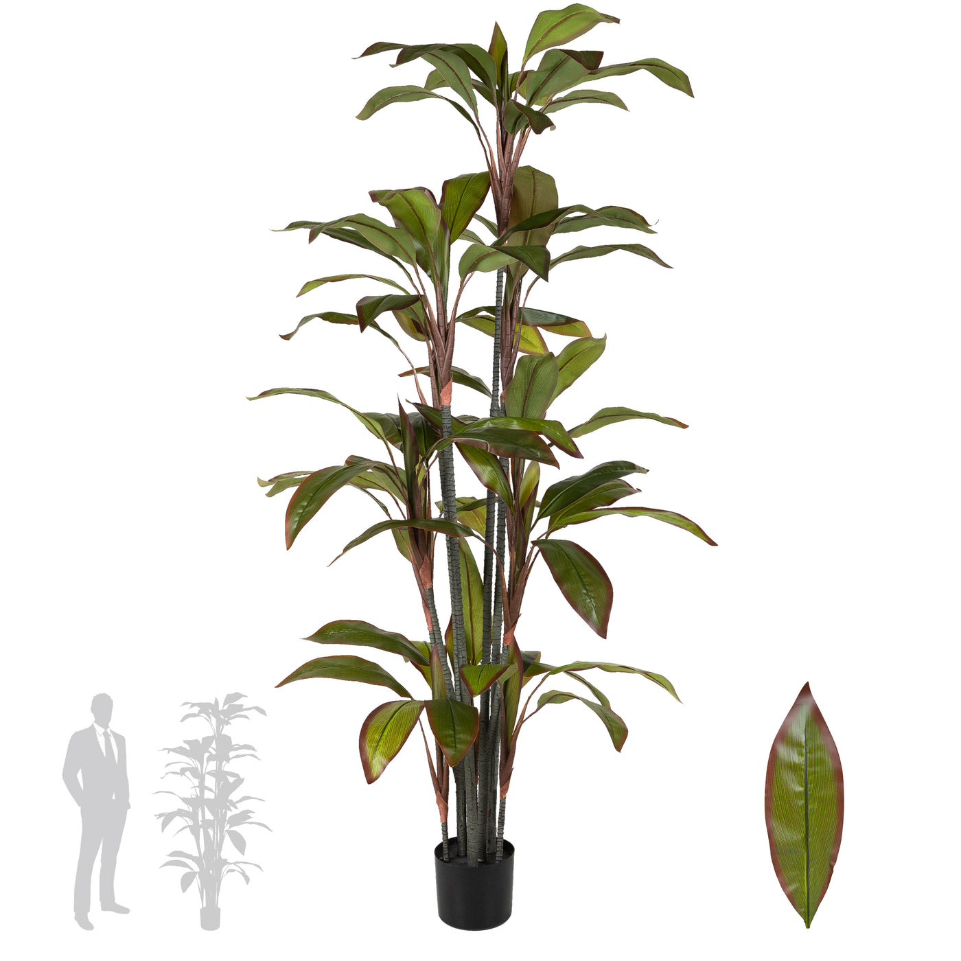 Dracaena marginata artificiala cu 66 frunze H180 cm