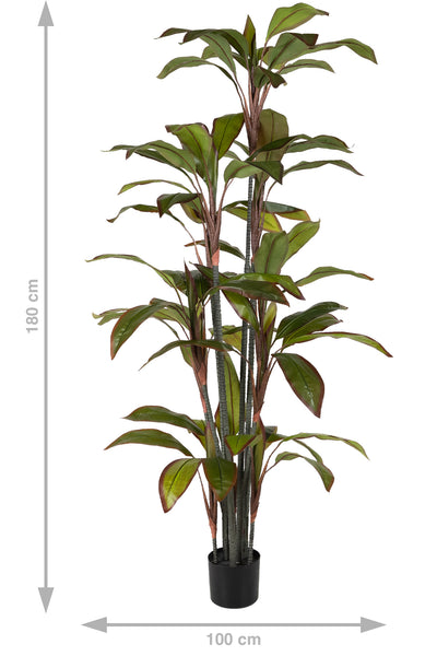 Dracaena marginata artificiala cu 66 frunze H180 cm