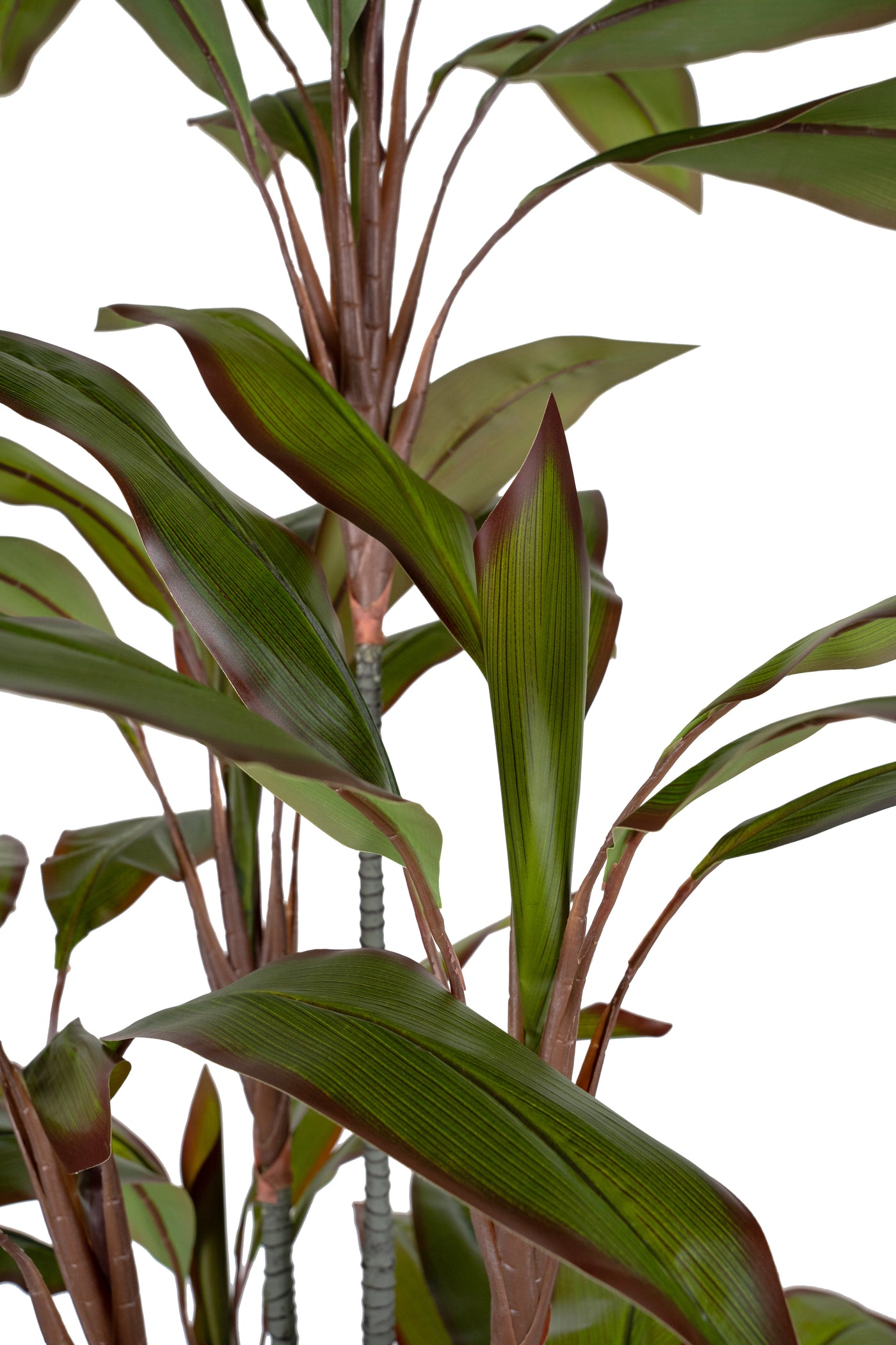 Dracaena marginata artificiala cu 66 frunze H180 cm