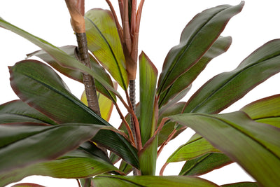 Dracaena marginata artificiala H120 cm cu 47 frunze