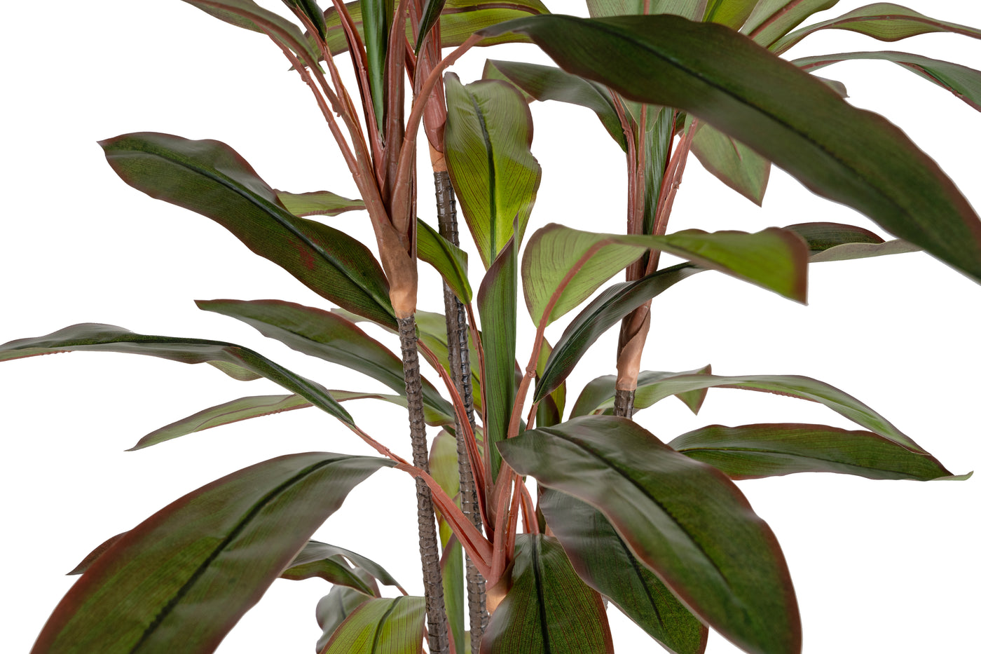 Dracaena marginata artificiala cu 50 frunze H130 cm