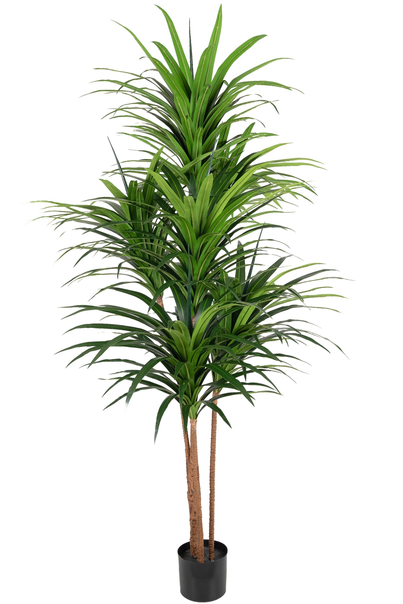 Dracaena artificiala marginata cu 310 frunze verzi H180 cm