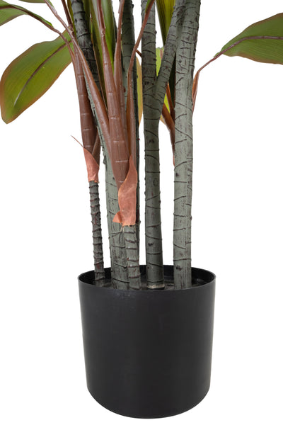 Dracaena marginata artificiala cu 66 frunze H180 cm