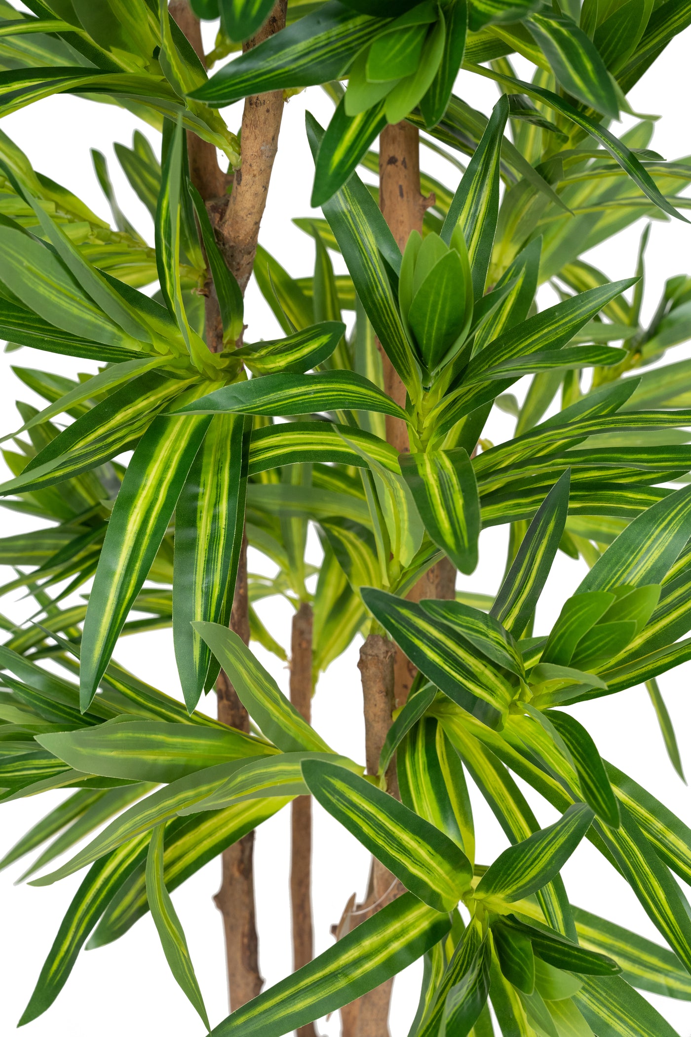 Dracaena artificiala Reflexa variegat cu 570 frunze verde cu galben H150 cm