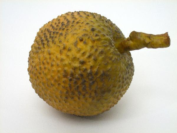 Fruct artificial Durian D21 cm HO