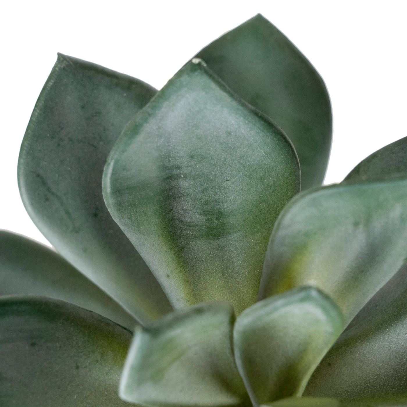 Planta artificiala Echeveria artificiala verde