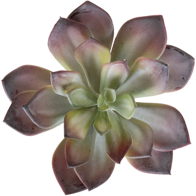 Planta artificiala Echeveria artificiala verde - rosu