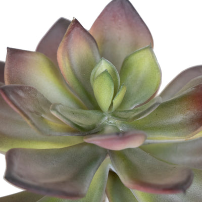 Planta artificiala Echeveria artificiala verde - rosu